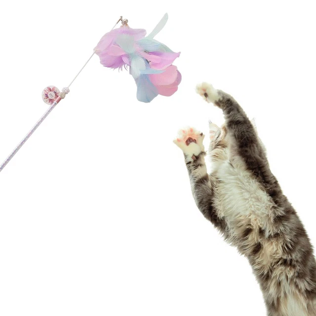 Jouets En Plumes Pour Animaux De Compagnie Chat Jouant Jouet Chat Teaser
