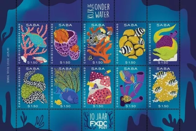 Caribbean Netherlands Saba 2024 Fish Poissons Fische Underwater Fauna & Flora