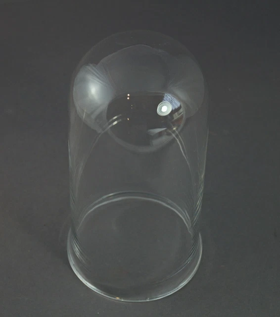 Cúpula de Cristal - Campana de Cristal, 19 Siglo, 21CM (#11425)
