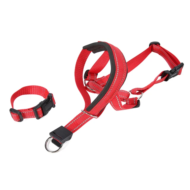 (XL) Collare Testa Cane Muso Traspirante Regolabile Prevenire Masticare Naso Imbottito