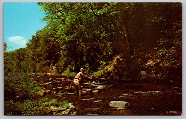 Henryville Lodge Pennsylvania PA Trout Fisherman Fishing Postcard UNP VTG Dexter