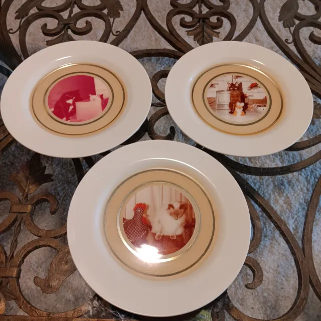 Vintage Cat Plates By Photo Plate USA Hialeah Florida Set Of 3 Rare Unusual