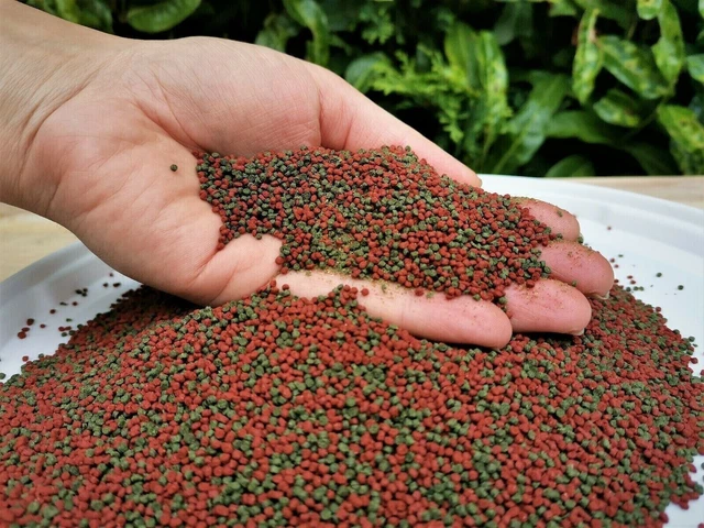 BEST Fish Food Koi Chiclid Goldfish Floating Pond Pellets AQUARIUM FREE SHIPPING