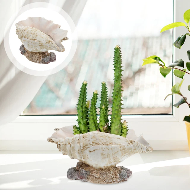 1pc Conch Blumentopf Conch Sukkulenten Topf Conch Shell Figurine 12