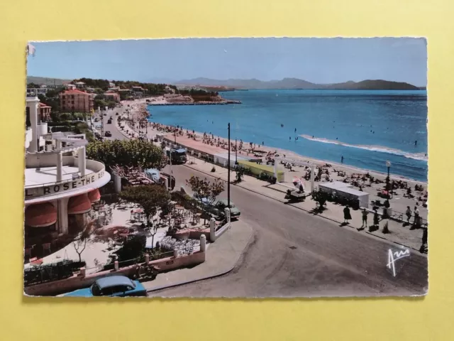 cpsm 13 - LA CIOTAT en 1961 (Bouches du Rhône) Vue générale de la PLAGE