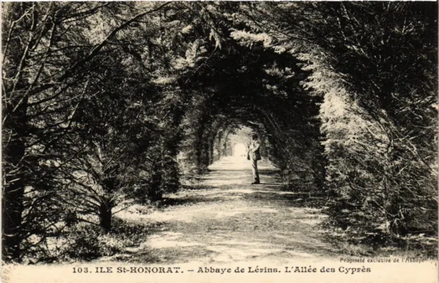 CPA AK Ile St-HONORAT - Lérins Abbey - L'Allée des Cypres (488583)