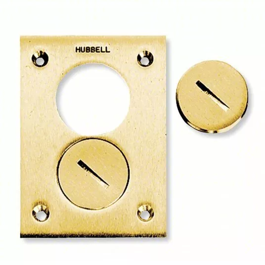 Hubbell S3625 Floor Box Cover, Rectangular, 2-Gang, Brass