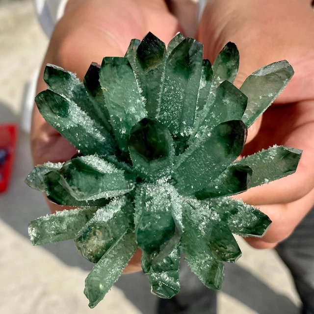 279G New Find Green Phantom Quartz Crystal Cluster Mineral Specimen Healing 12