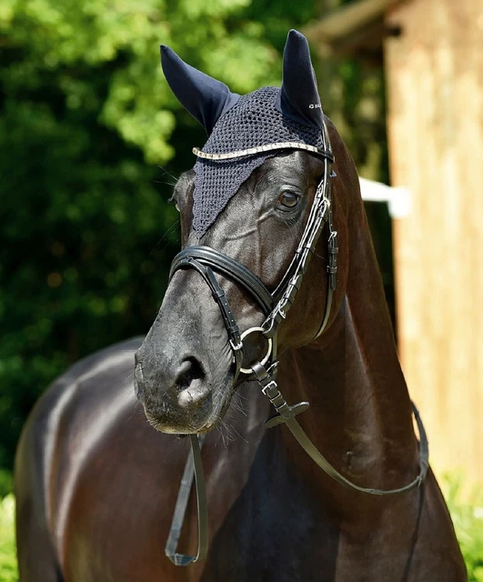 Busse Professional Fly Veil Horse Ear Bonnet with tie-down, Half Price Sale