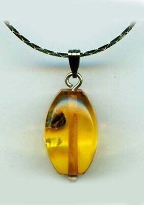 Antique 6½ct Russian Baltic Amber Gem Ancient Assyria Etruria Phoenicia Egypt Ur