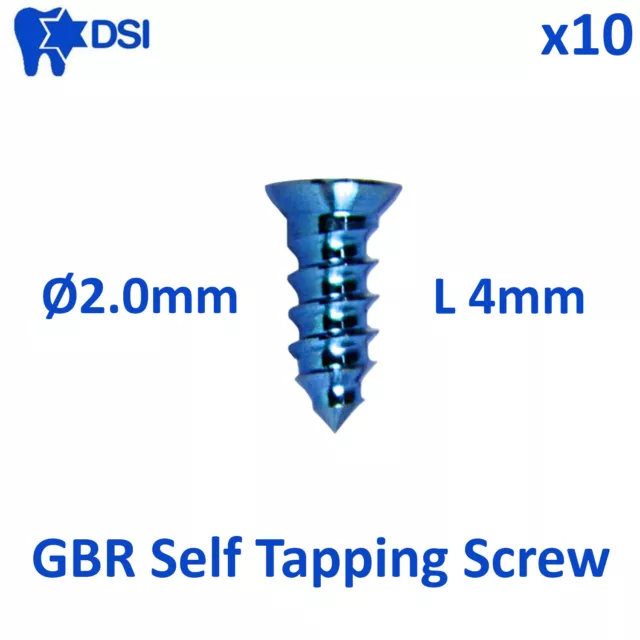 10x DSI Dental Fixture B0ne Screw Membrane Fixation GBR Surg Ø2.0mm/L4mm
