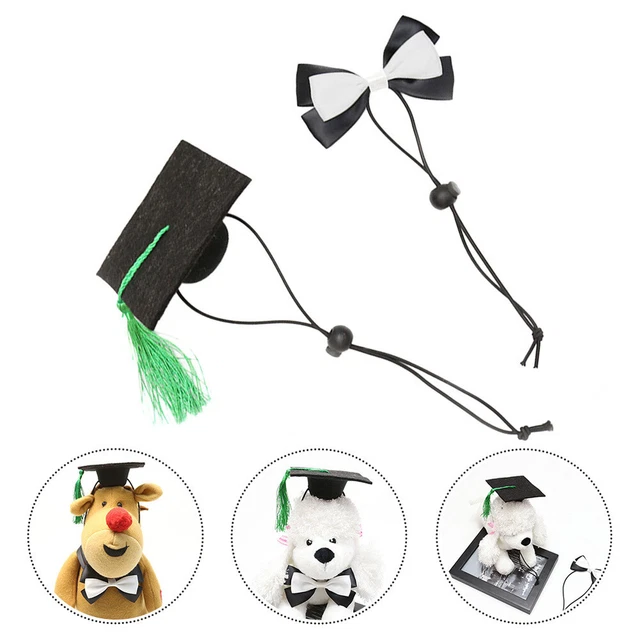 2 piezas Petg Petsanft médico sombrero mosca juego de ropa cachorro kit mascota sombrero
