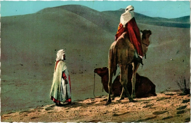 CPA AK Halte dans le Désert ALGERIE (874541)