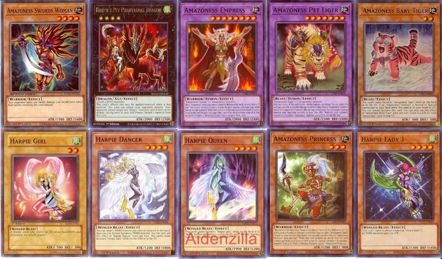 YUGIOH MAI VALENTINE Deck - Harpie Lady Amazoness Princess Baby Tiger Queen $32.00 - PicClick YUGIOH MAI VALENTINE Deck - Harpie Lady Amazoness Princess Baby Tiger Queen $32.00 - PicClick