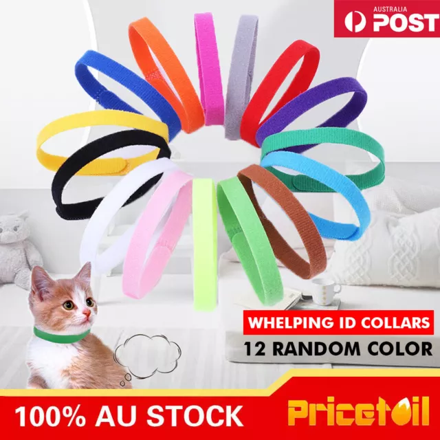 Kitten id sale bands