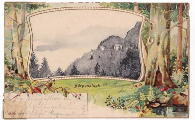 AK Prägekarte Bürgenstock 1903 Gebäude Alp Tritt Urner Alpen alte Ansicht