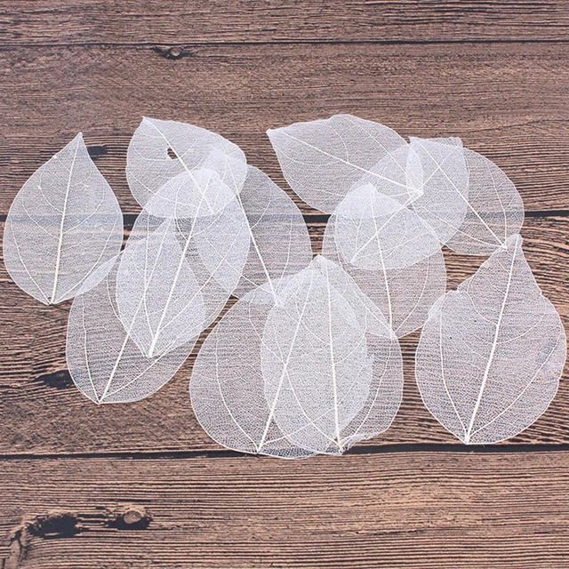 6 un. marcadores de hojas flores secas marcadores hojas artificiales rey