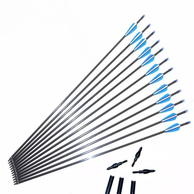 Fibreglass arrows 28"-31.5"Archery Arrows Screw Tip broadhead for Bow Hunting