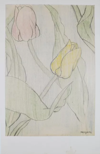 Franziskus Dellgruen signiert Bild Gemälde Kunst Zeichnung 25x17cm Tulpen Blumen