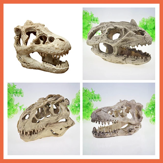 Aquarium Fish Tank Ornament Decoration Resin Dinosaur Skull DIY Small Large Size