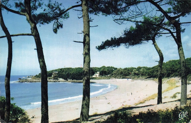 17 SAINT PALAIS Sur Mer La Plage Du Platin EUR 6,90 - PicClick FR