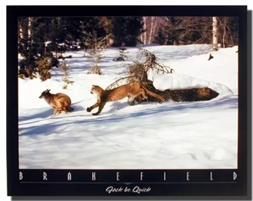 Mountain Lion Chasing Wolf in Snow Wildlife Animal Wall Decor Art Print (16x20)