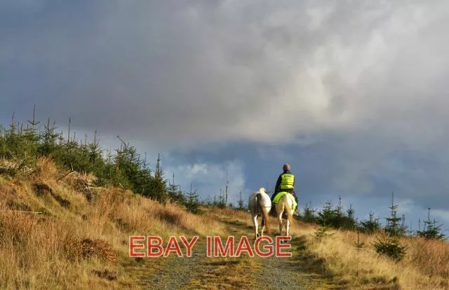 Photo  Near The Summit One Human And Two Horses Were The Only Other Beings Seen