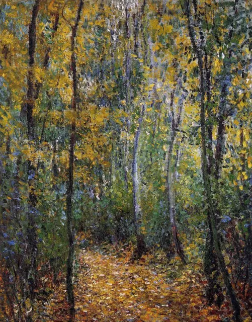 Charming Oil painting Claude Monet - Wood Lane summer forest landscape canvas