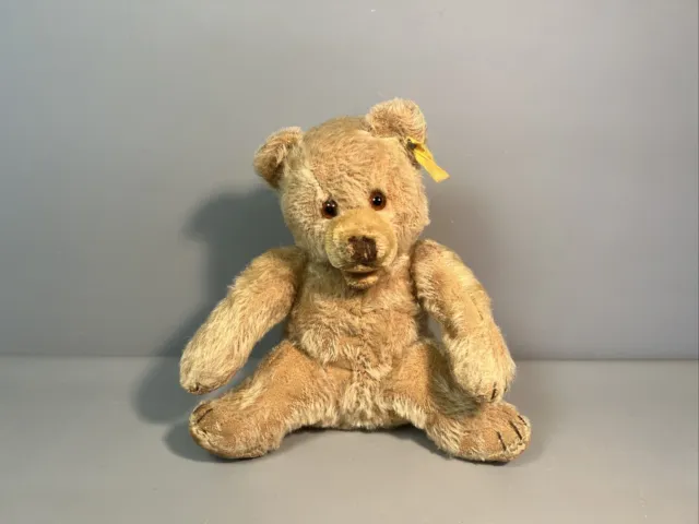 Alter Steiff | Teddybär Bär mit Knopf am Ohr 20cm Mohair | 40/50er Jahre |