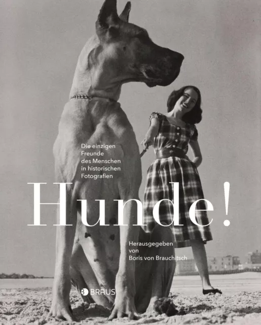 Hunde! | Buch | 9783862282333