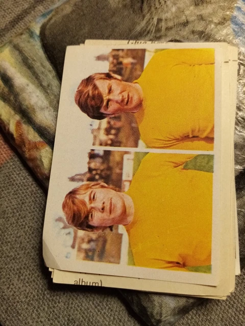 Xm38 Card Sticker Soccer Stars Football No 328 John Carroll Richard Brooks