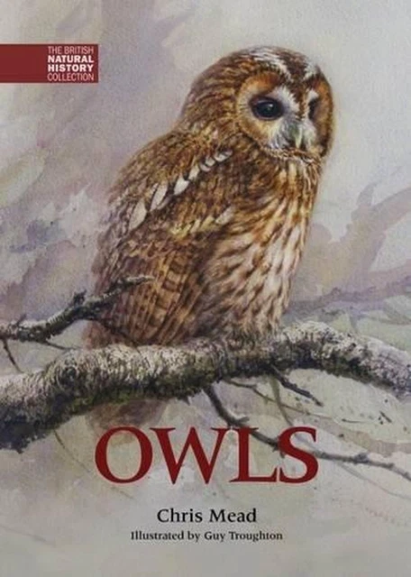 Owls by Chris Mead (English) Hardcover Book