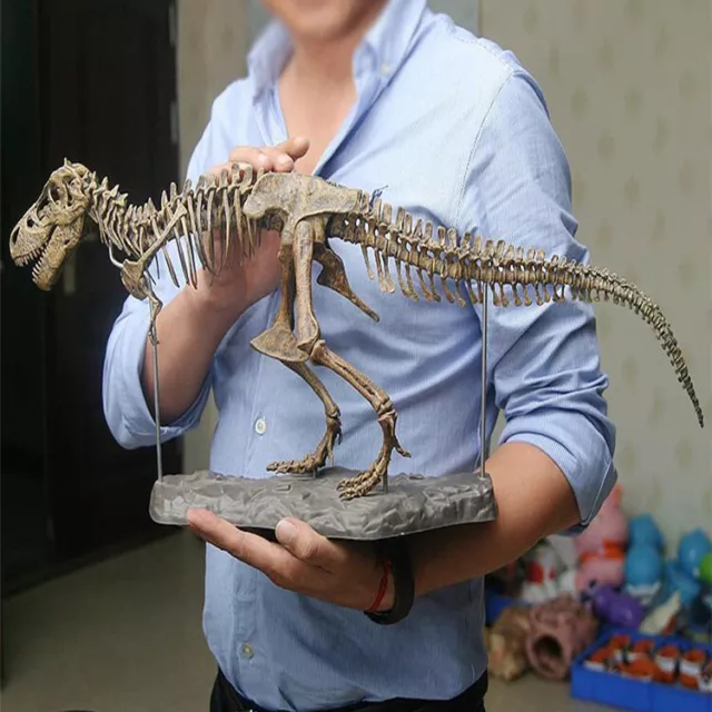 Animal Model T Rex Tyrannosaurus Rex Skeleton Dinosaur Toy Collector Decor Gift
