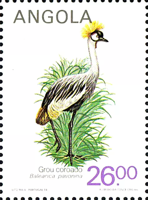 MNH animal wildlife bird dark black neck peacock crane crown crane / 58