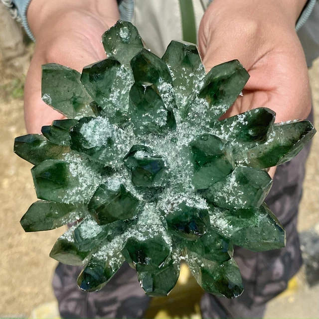 2.17LB New Find Green Phantom Quartz Crystal Cluster Mineral Specimen Healing