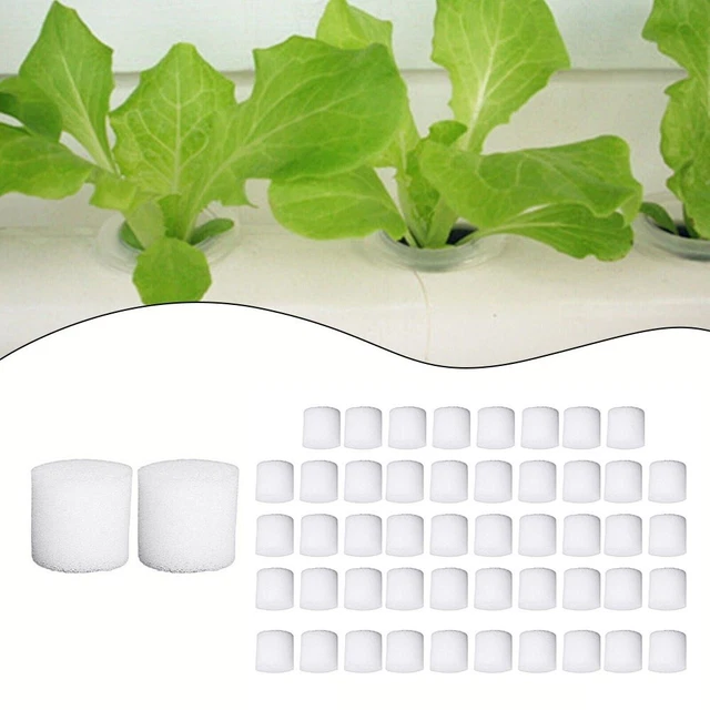 Hydroponics Garden Tool 50PCS Bottomless Growing Tray with Sponge