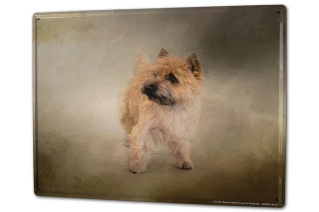 Targa In Metallo Retrò Per Casa Con Regole Del Cairn Terrier – 20,3x30,5 Cm – Decorazione Umoristica - 3