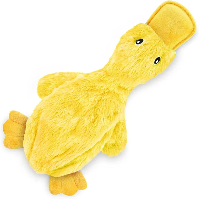 Best Pet Supplies Crinkle Dog Toy for Small, Medium, and Large Breeds, Cute No S