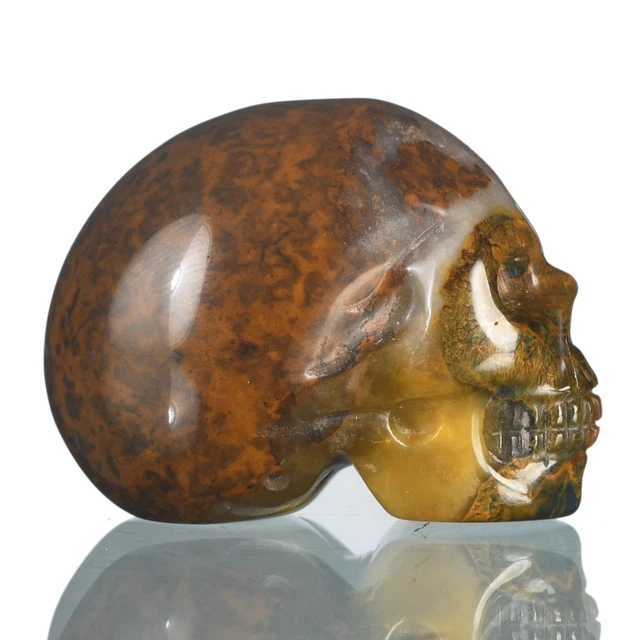 Cráneo de cristal de pietersita natural tallado a mano de 1,54" #36G28