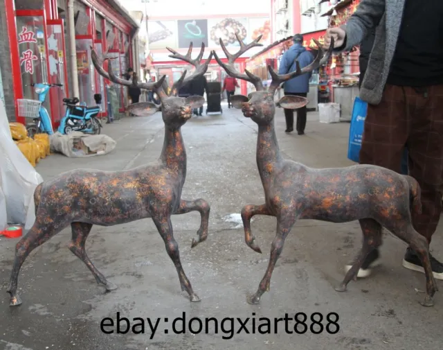 43" China Ancient Bronze Copper Gild living room decoration Sika Deer sculpture