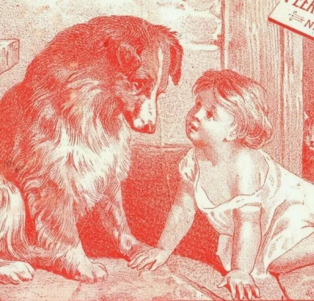 1880s Frank Miller's French Blacking Adorable Dog & Baby P229