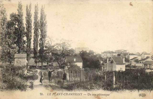 LE PLANT CHAMPIGNY-In coin pittoresque CPA Saintry - L'Arcadie (180082)