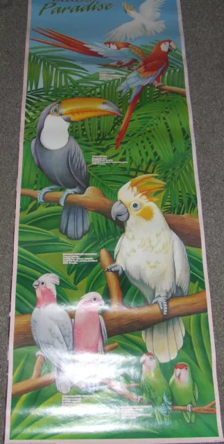 Vintage Portal Publications 6ft "Birds of Paradise" poster