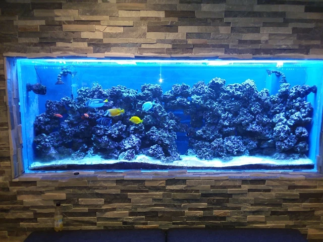 360 Gallon Acrylic Aquarium Tank W/125 Gallon Sump-Complete Setup FISH INCLUDED