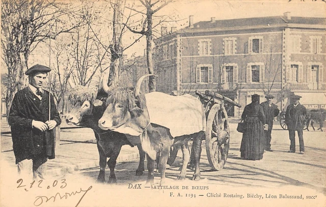 CPA 40 TYPES LANDAIS UN ATTELAGE DE MULES (ATTELAGE EN GROS PLAN