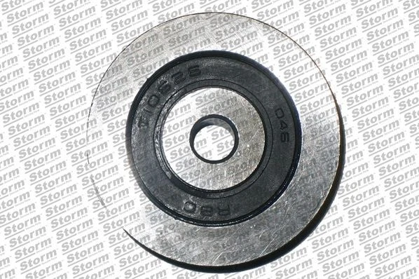Galet Tendeur (Courroie D'accessoire) Citroën Xsara Picasso 2.0 Hdi