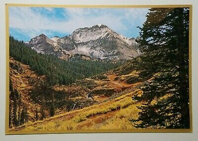Autumn Splendor High in the Rockies Postcard