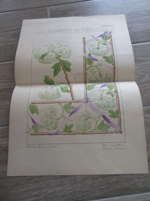 Disegno Originale Acquerello Arti Decorative 1896 Motivo Botanico Viborne Obier