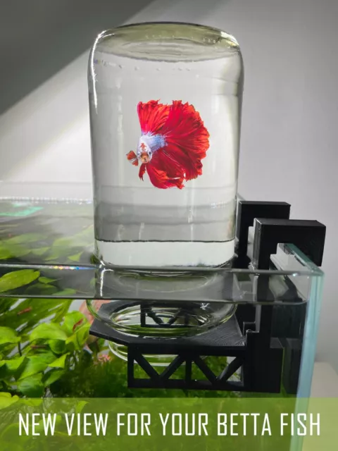 Inverted Betta Tank Holder, Panoramic View for Betta Fish, 360 View for Betta 2