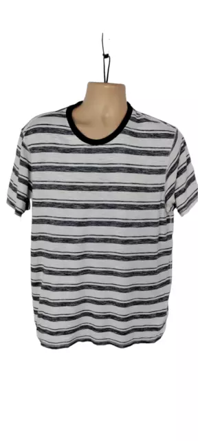 Mens Fatface Size Large Blue White Striped Short Sleeved Crew Neck Tshirt Shirt